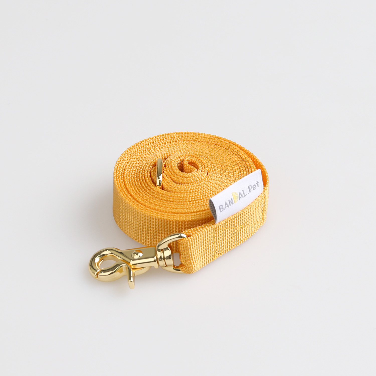 All day Leash_yellow