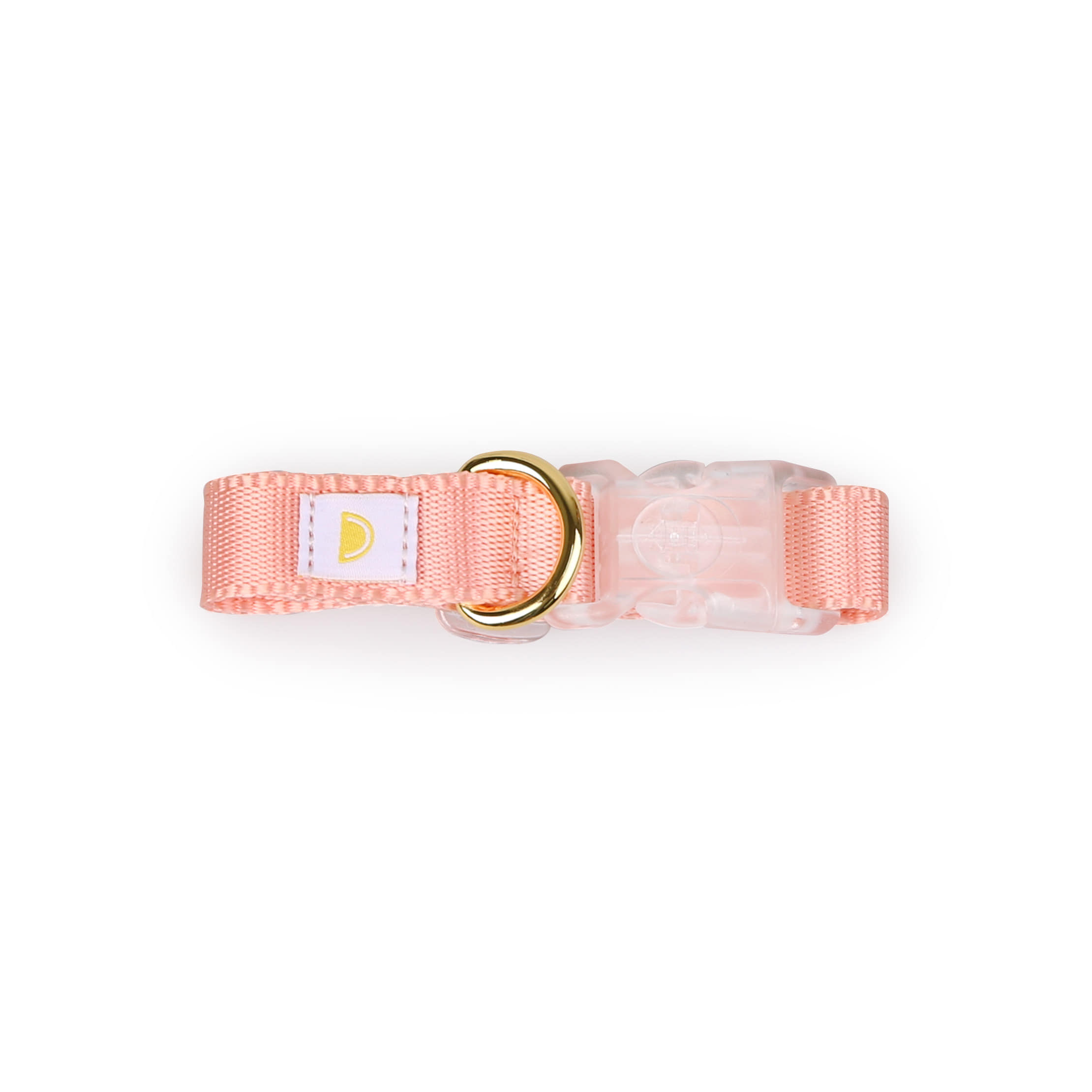 All day collar_pink