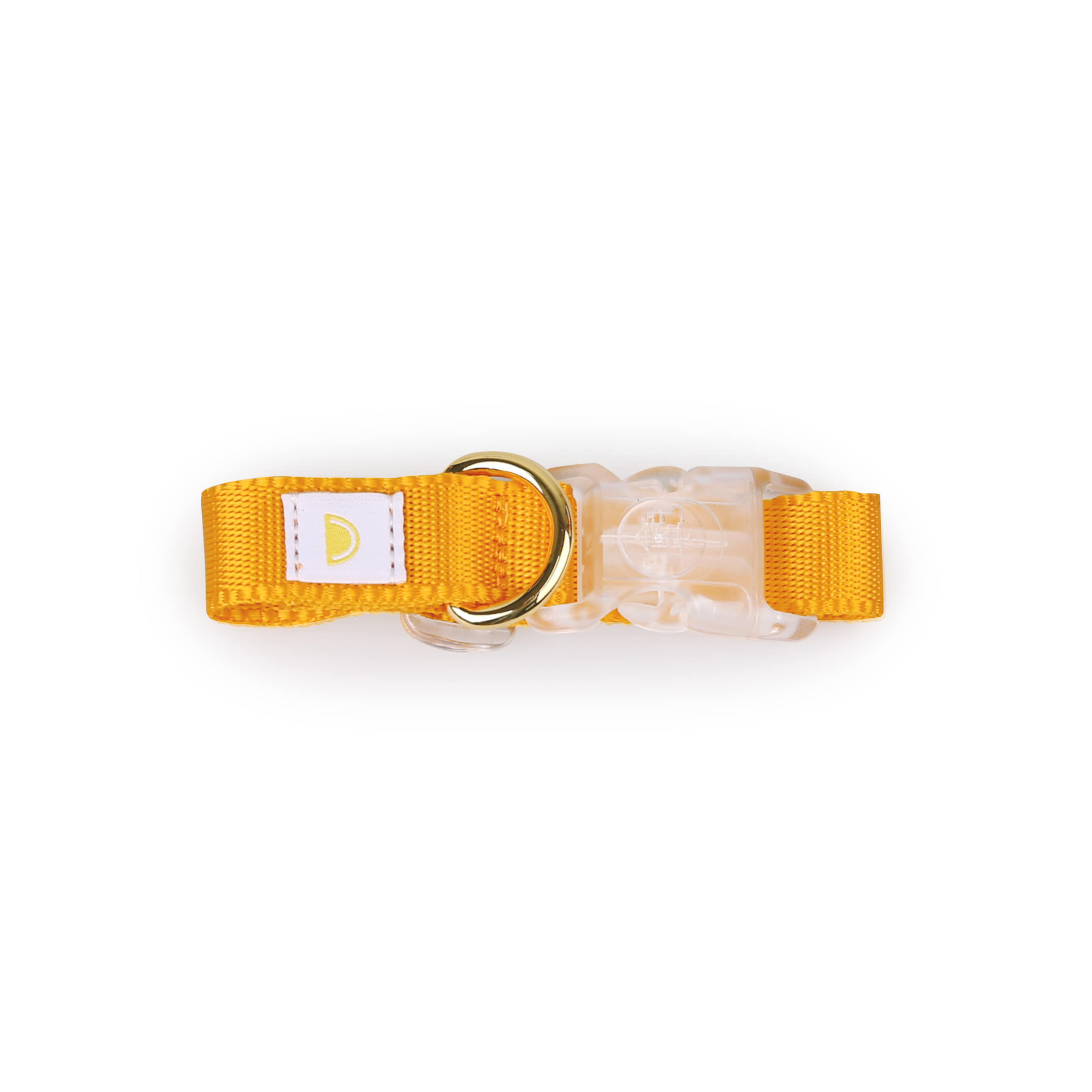 All day collar_yellow